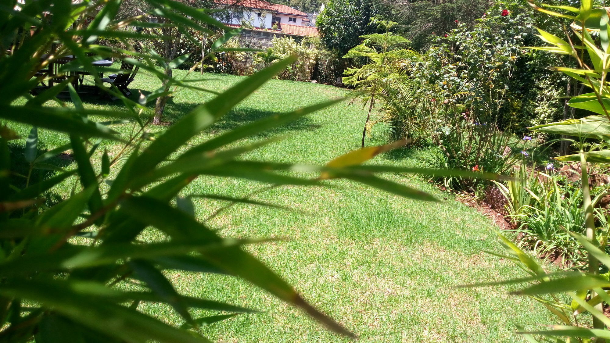 Fairacres House & Spa Langata Buitenkant foto